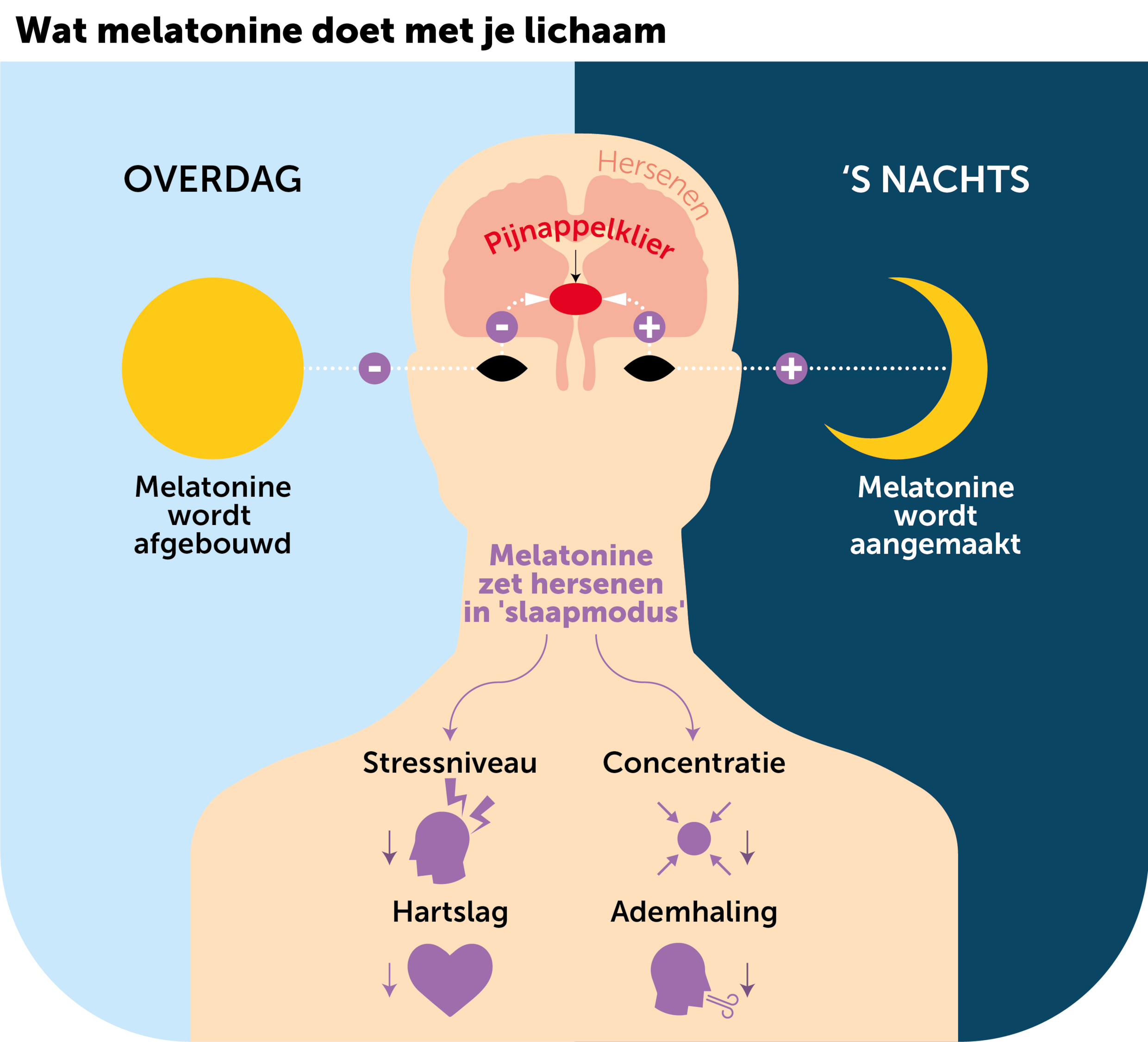 ‘Vampierhormoon’
