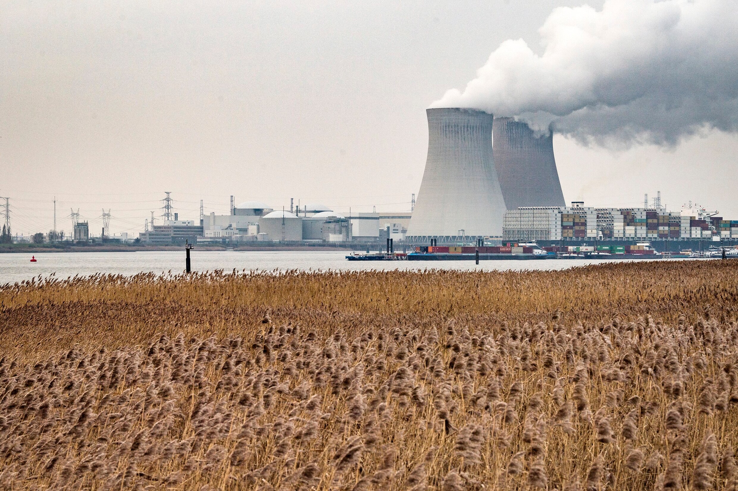Verlenging kerncentrales geen taboe meer voor groenen: ‘Met open blik naar kernuitstap kijken’