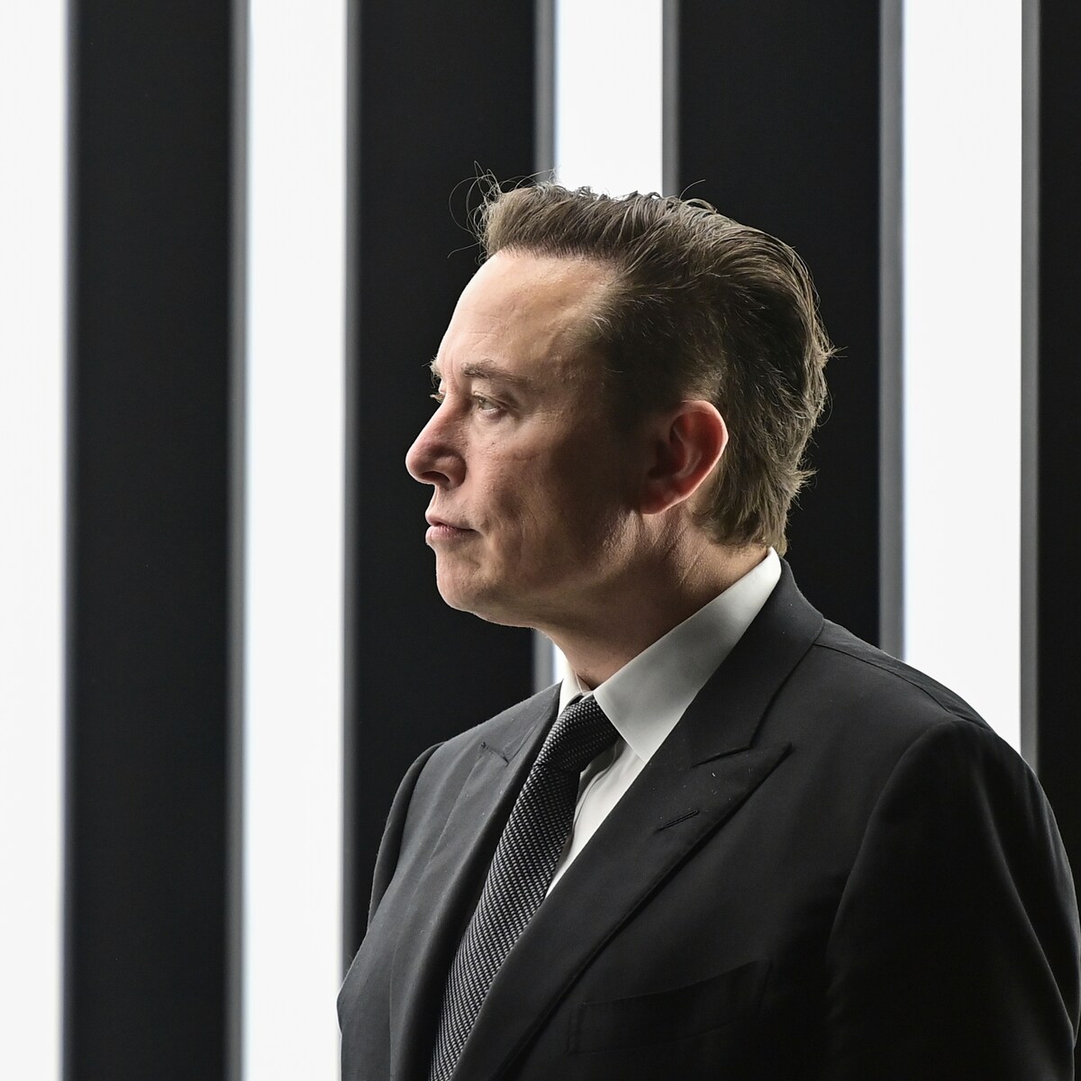 Investeerder eist 258 miljard dollar van Elon Musk voor zijn steun aan  cryptomunt dogecoin | De Morgen