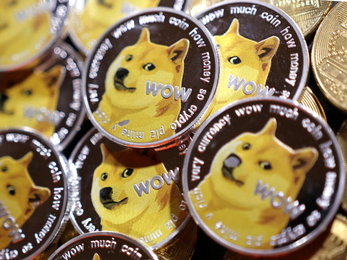 Investeerder eist 258 miljard dollar van Elon Musk voor zijn steun aan  cryptomunt dogecoin | De Morgen