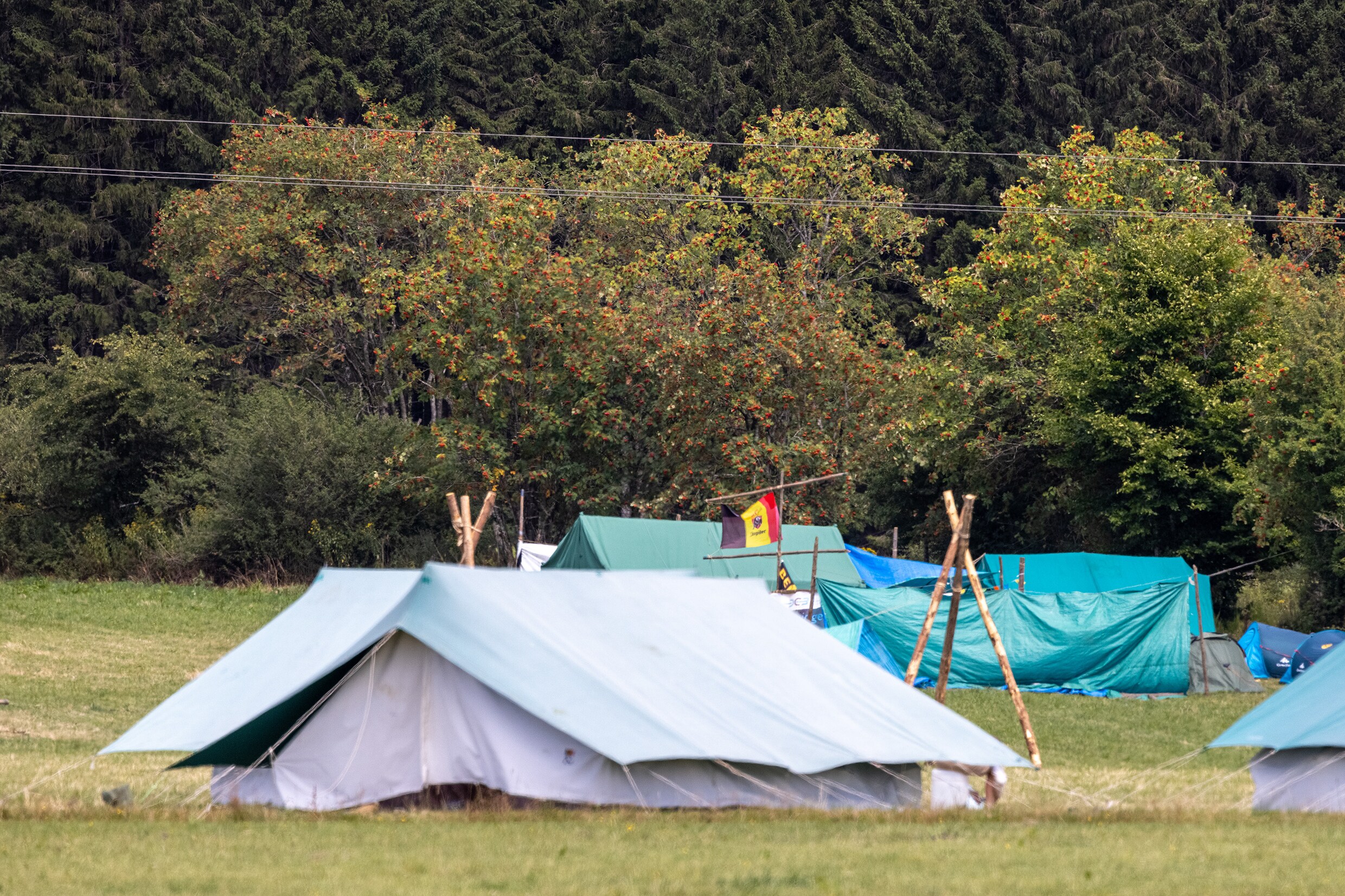 Raad van State beslist: scoutsgroep uit Wilrijk mag toch op kampterrein in La Roche blijven