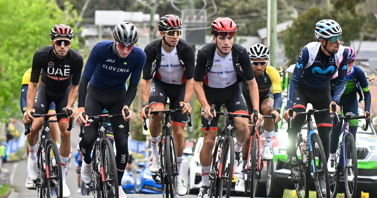 Hoe Schat Tadej Pogacar Zijn Kansen In Dit Is Echt Een Parcours Voor Van Aert En Van Der Poel