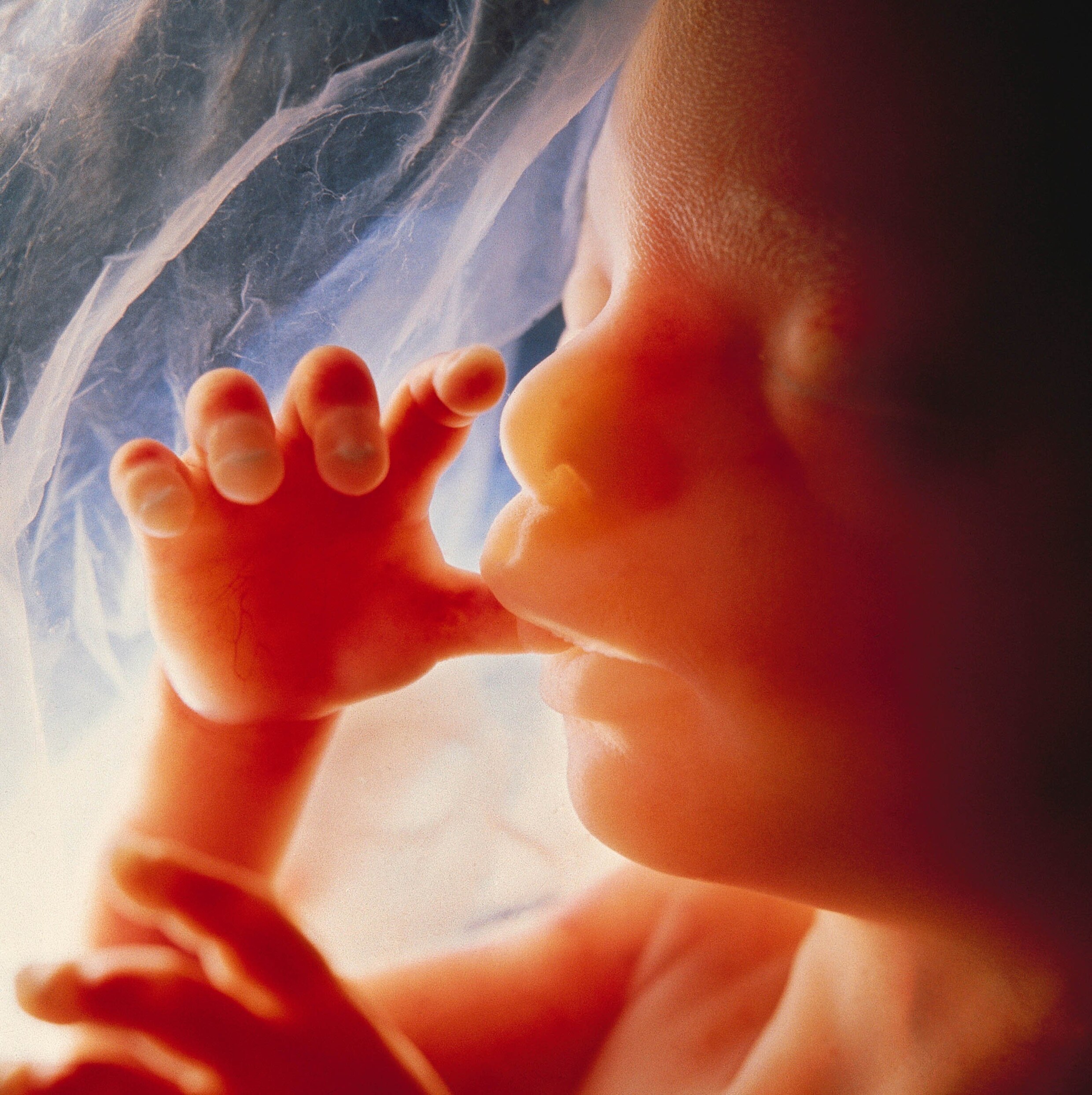 Ethische afwegingen bij uitbreiding van abortus tot 20 weken