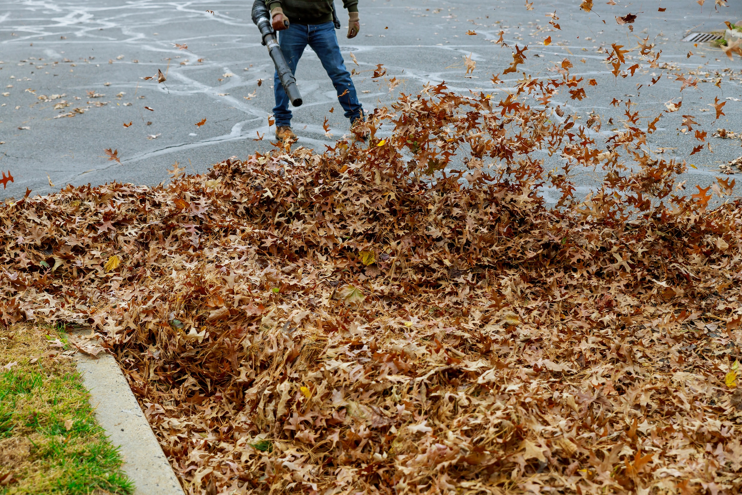 Waarom u die herfstbladeren mag laten liggen: ‘Het kan straks je zomerfactuur helpen temperen’