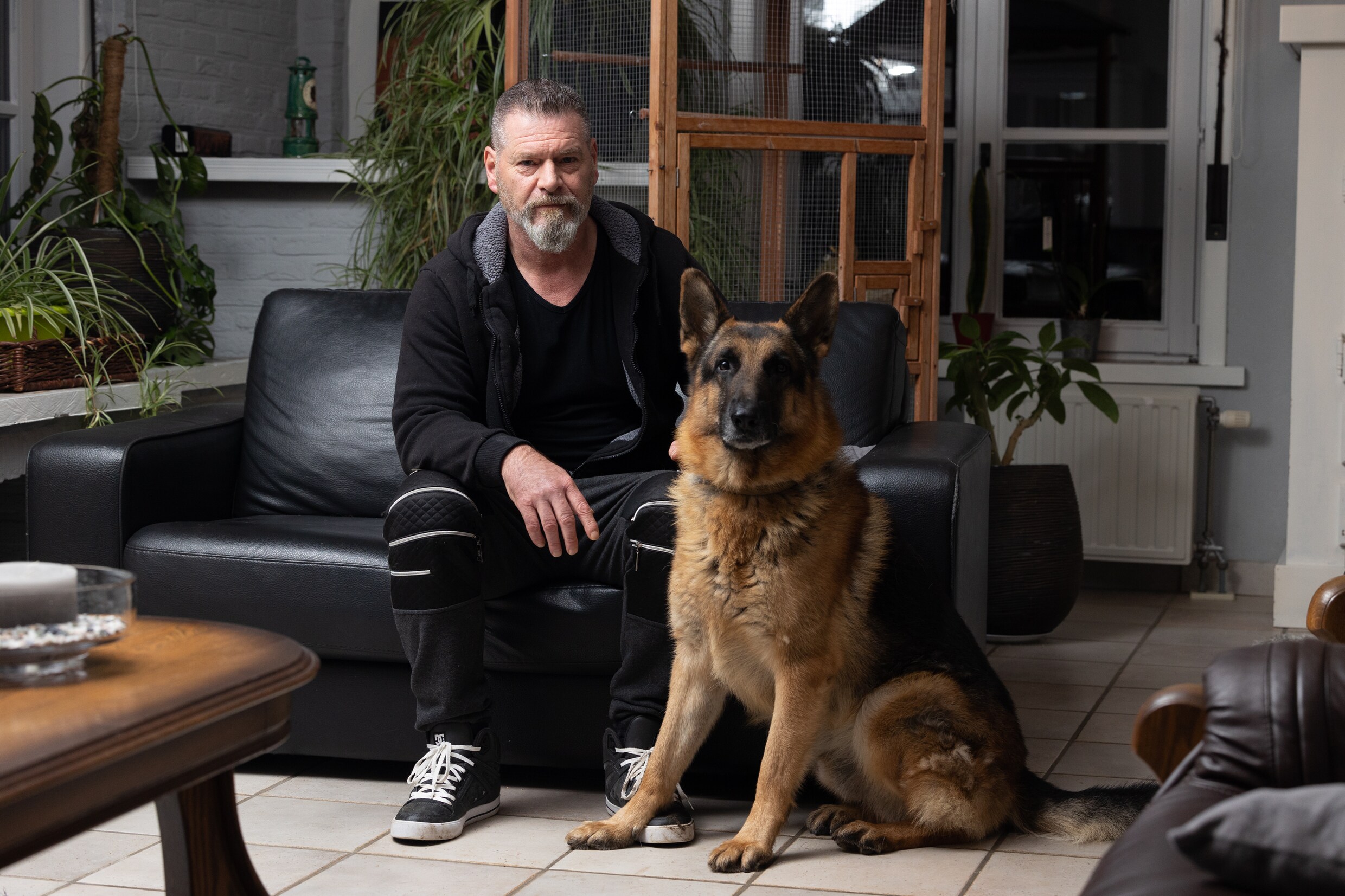 Zit er in Maaseik een ‘probleemwolf’ die een mens aanviel? ‘Bijtwonde ...
