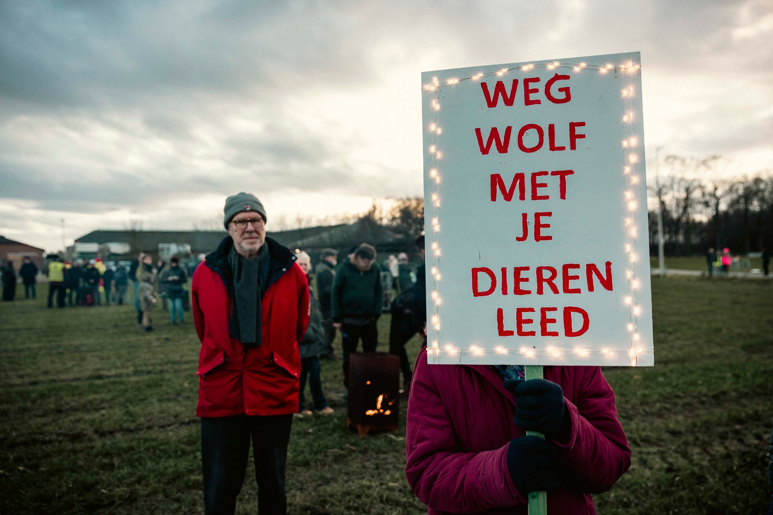 ‘Als politici willen dat we samenleven met de wolf, moeten de ...