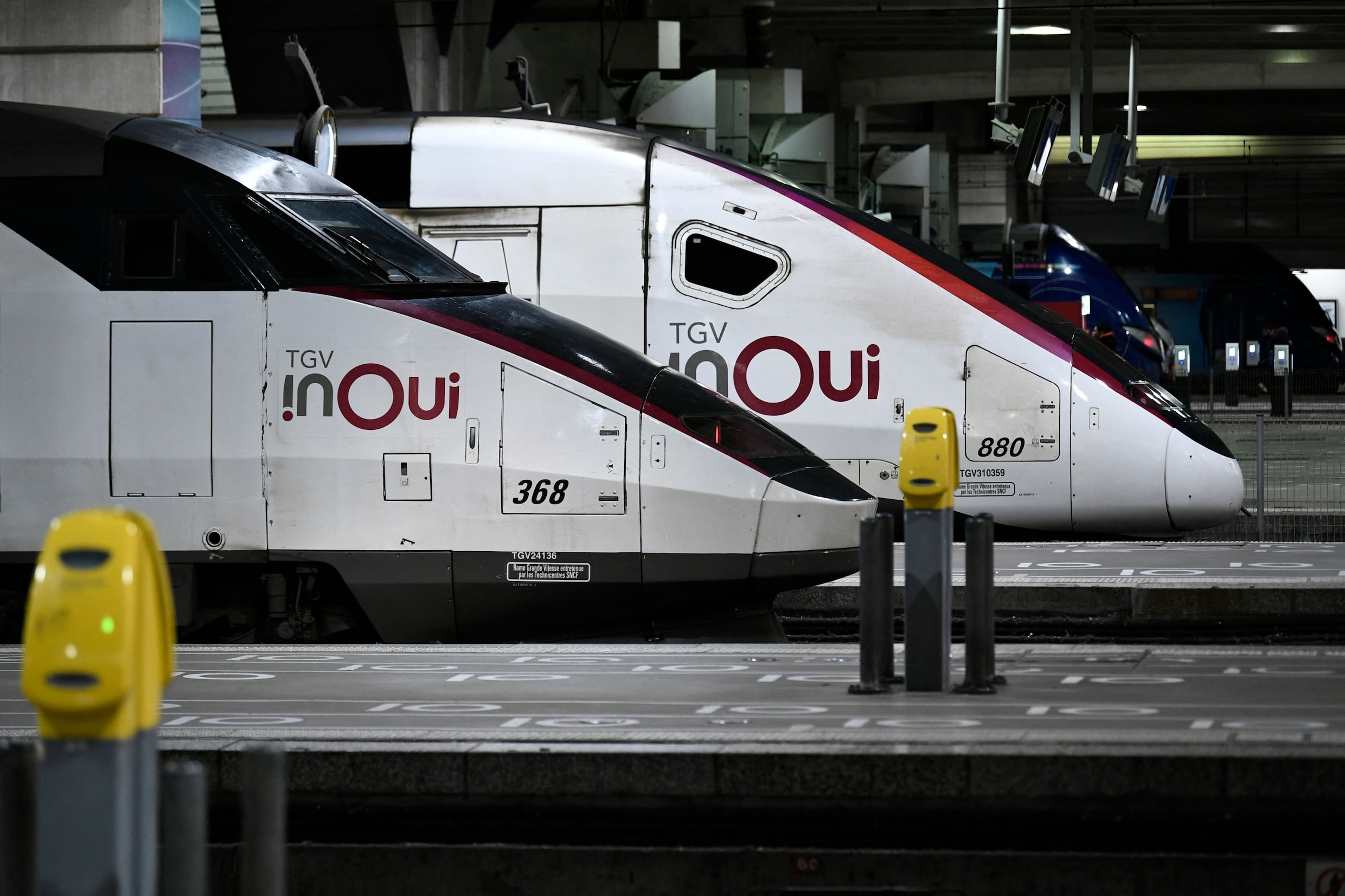 1.000 euro boete voor Franse spoorwegmaatschappij omdat TGV kat doodrijdt