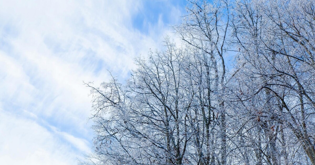 Zon en wolkenvelden op zaterdag, temperaturen tot 8 graden | De Morgen