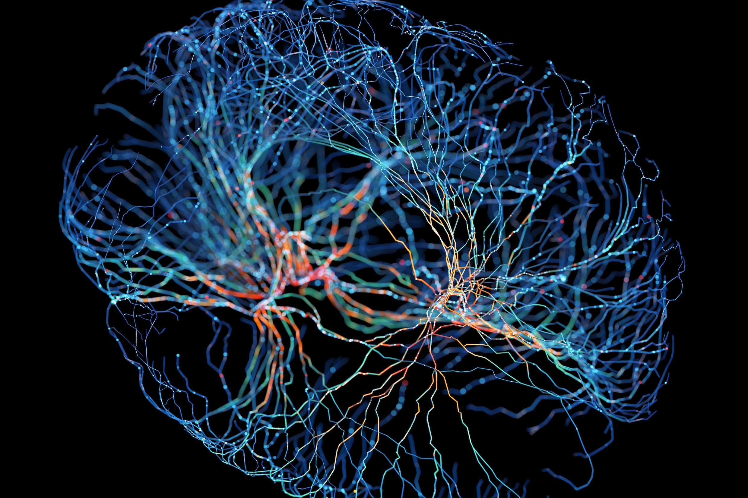 Is het zenuwstelsel de bron van alle mentale problemen? ‘De polyvagaaltheorie is niet dé waarheid’