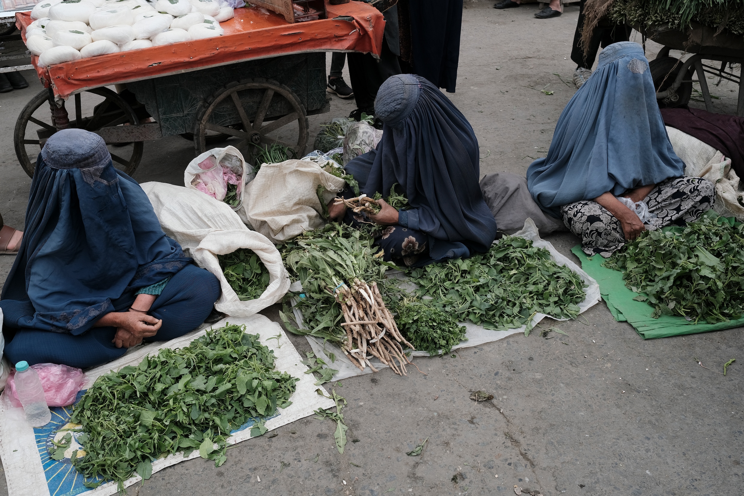 Na twee jaar taliban: in Afghanistan is het verboden te leven | De Morgen