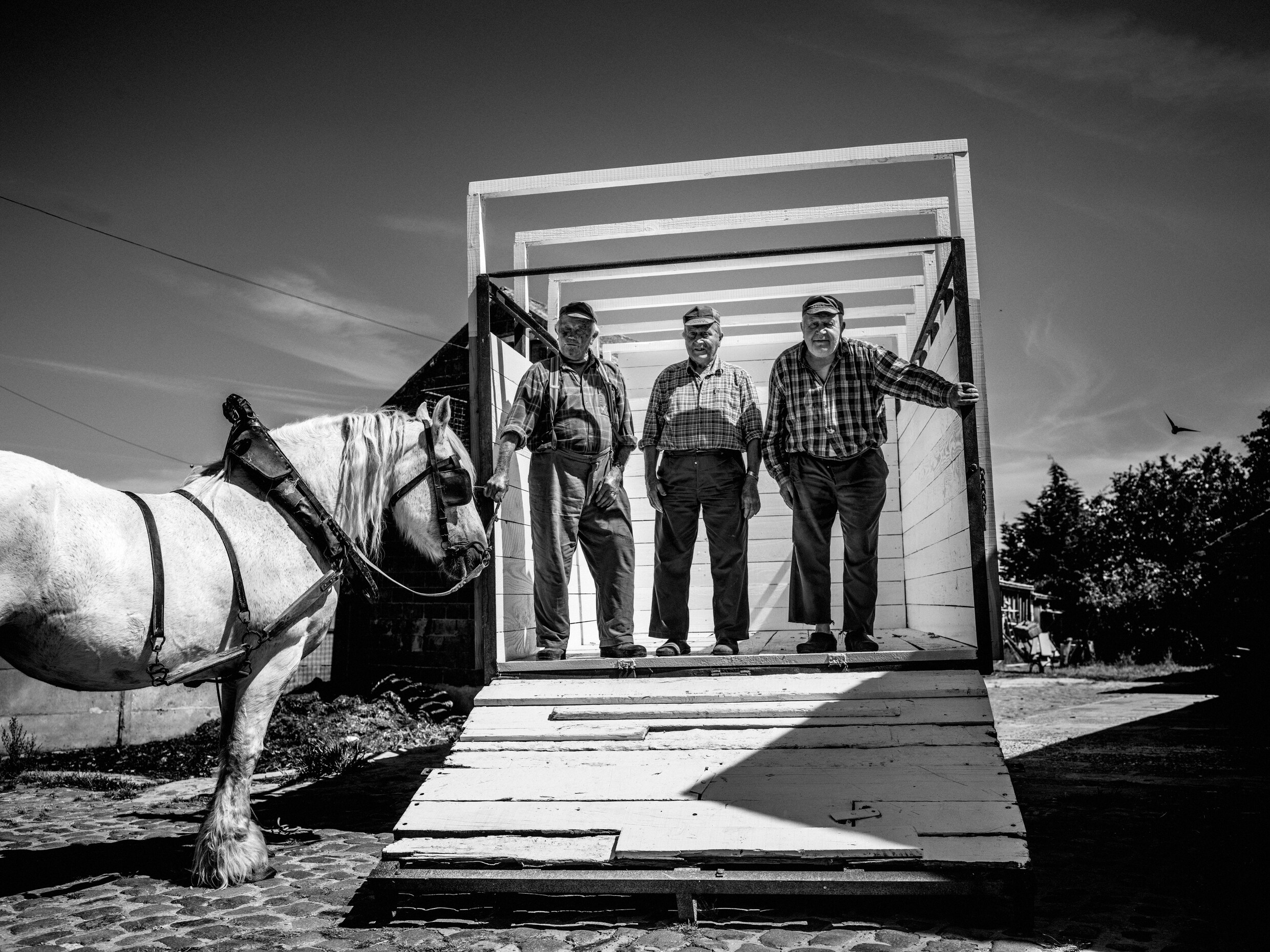 Fotografie: Jelle Vermeersch reed met de tractor van Keiem tot Kinrooi ...