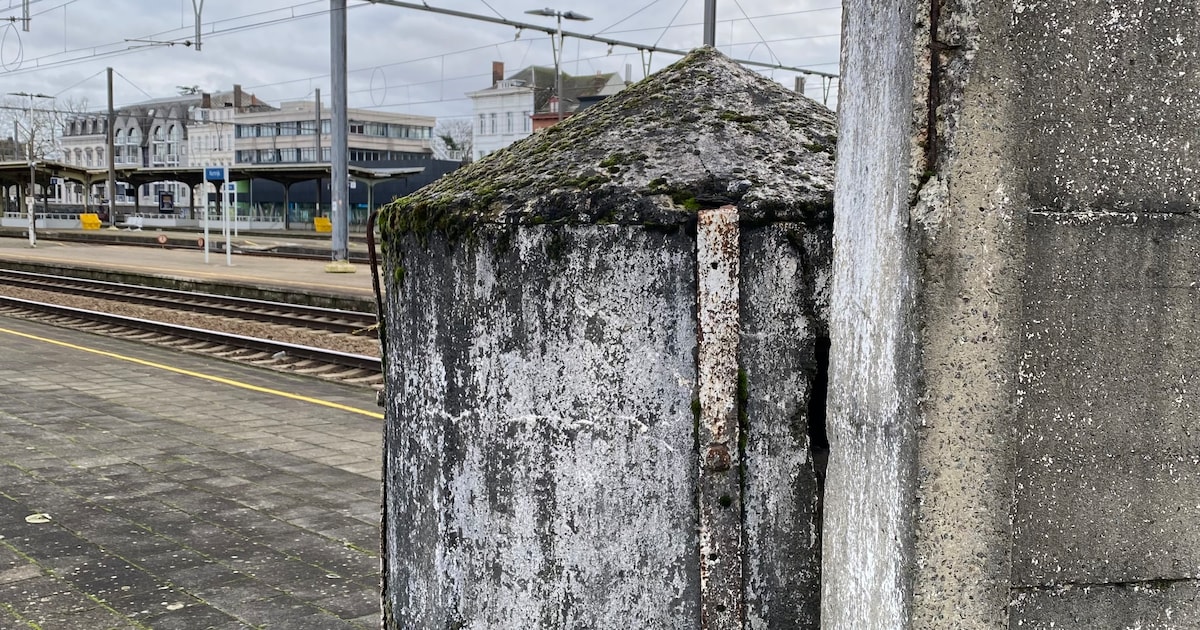 Tot nader order houdt de Kortrijkse potloodbunker koppig stand | De Morgen