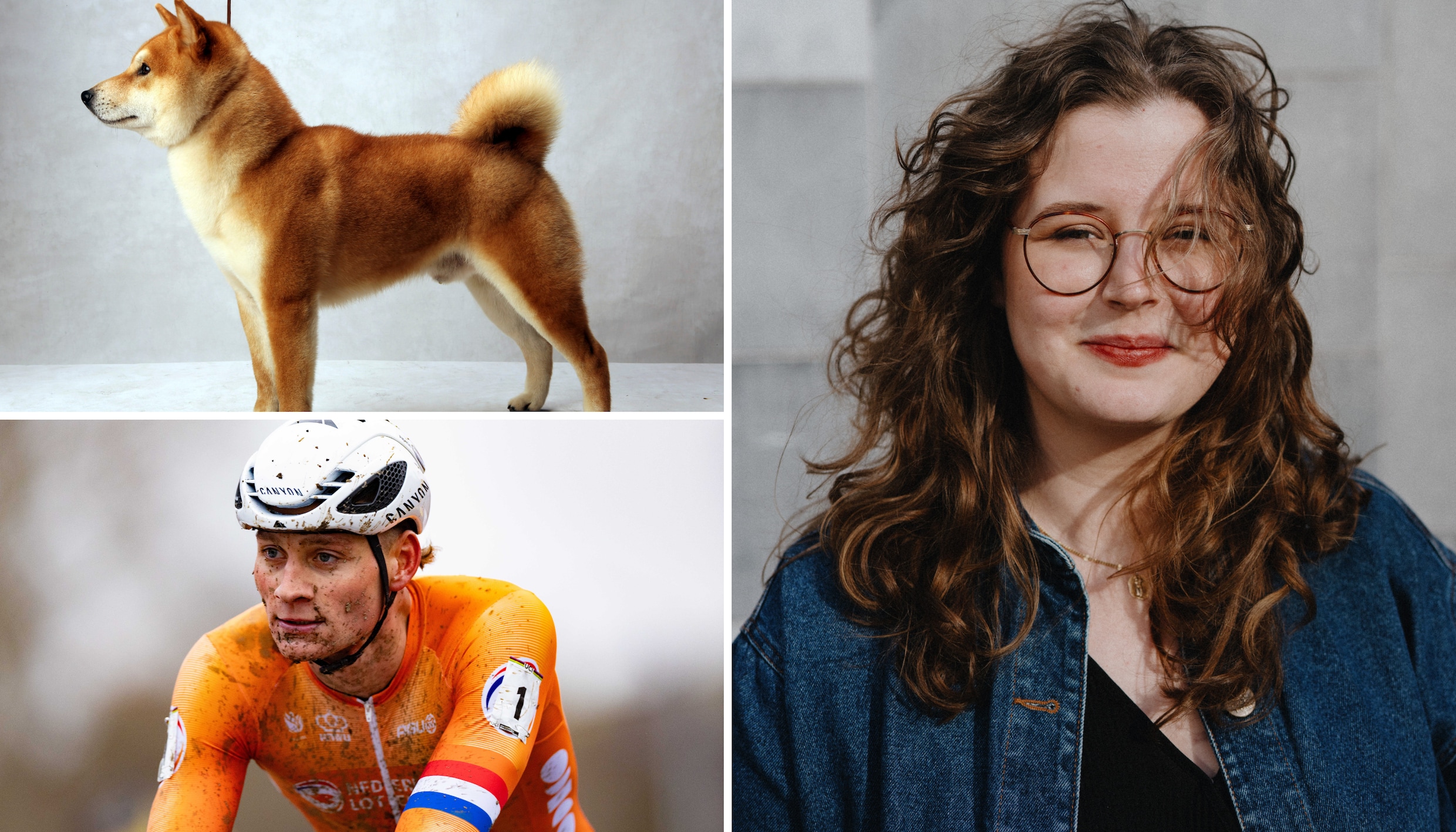 ‘Ze doen wat ze altijd hebben gedaan ons aan het lijntje houden’ 9 topverhalen van de voorbije