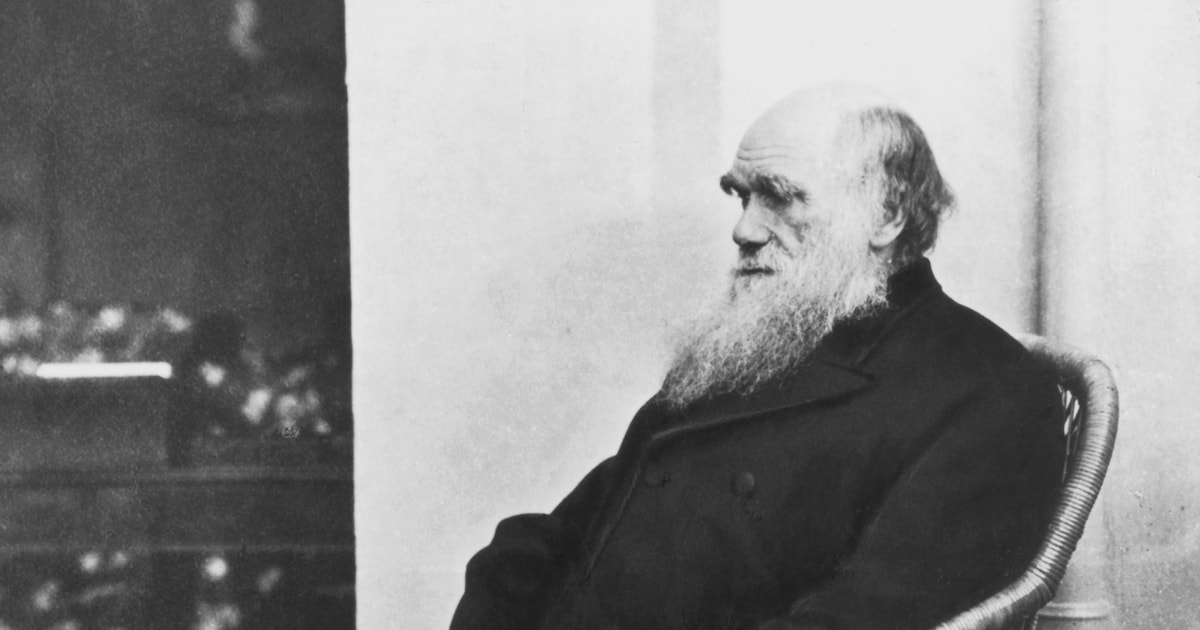 De enorme bibliotheek van Charles Darwin is eindelijk compleet, en veel ...
