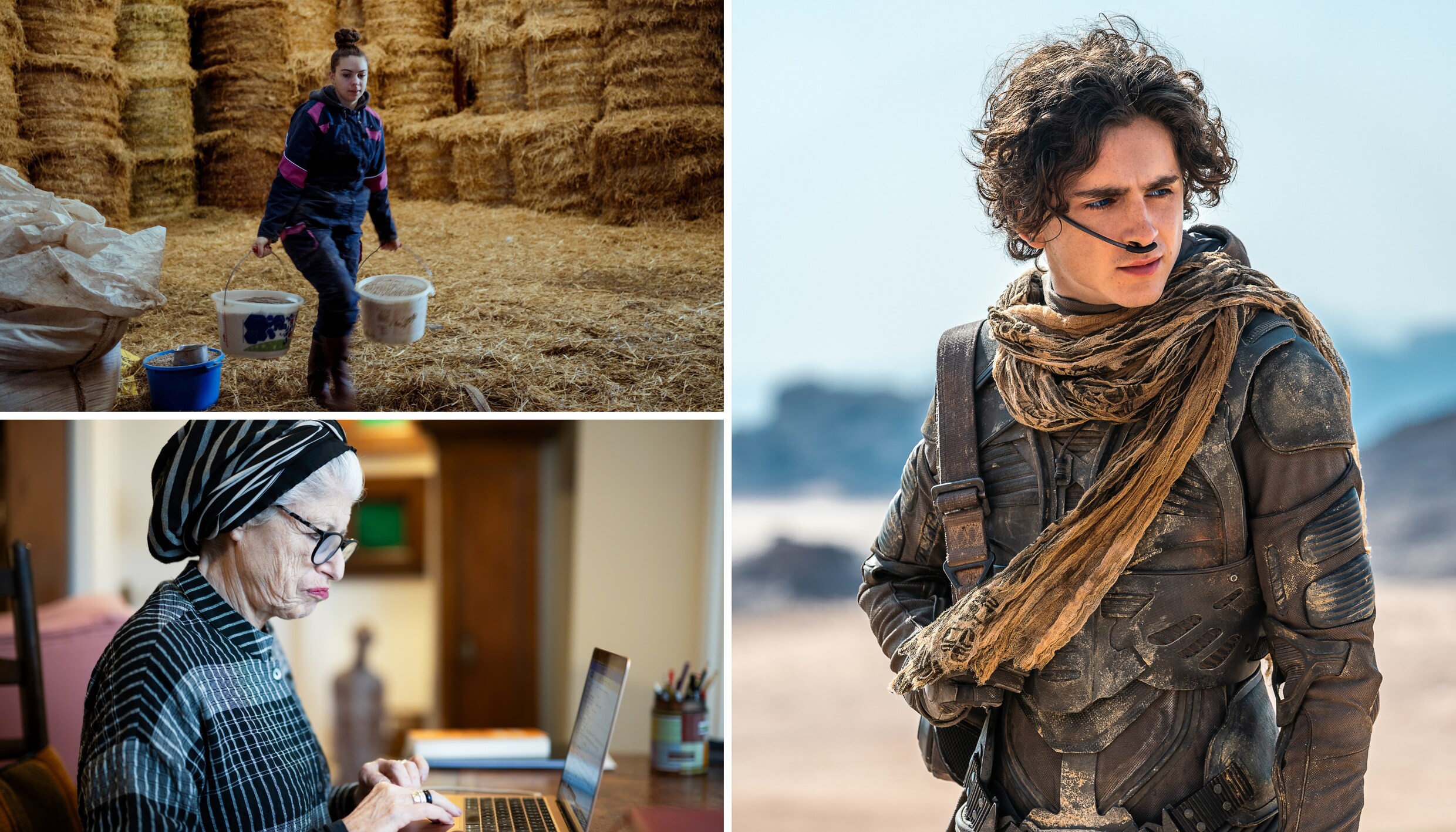 ‘Ik heb altijd het gevoel dat ik een bedrieger ben’: deze 5 topverhalen ...