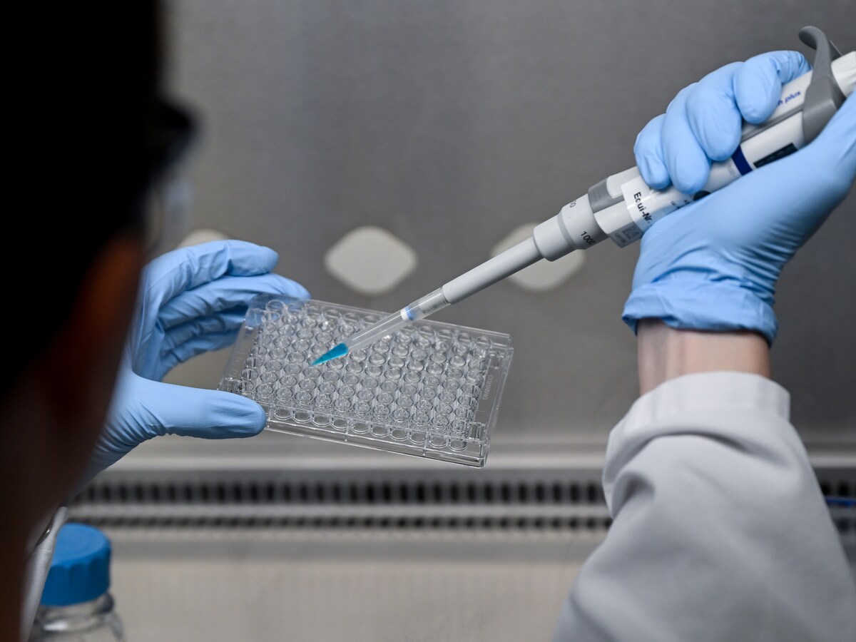 Nu we eiwitten gericht kunnen wijzigen, wordt er heel veel mogelijk': hoe RNA-editing onder meer kanker kan bestrijden | De Morgen
