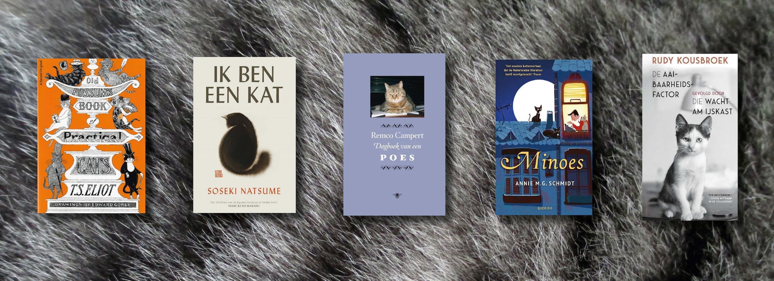 Boekenkasten vol katten: waarom schrijvers én lezers in de ban van poezen  blijven | De Morgen