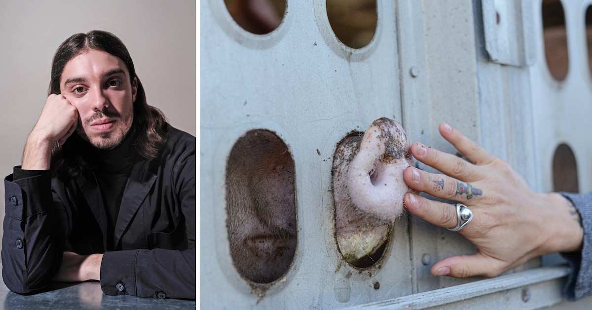 ‘Als vegetariër draag je nog altijd bij tot dezelfde problemen als ...