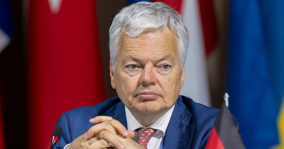 Na de zaak-Didier Reynders: Commissie Financiën plant hoorzittingen in strijd tegen witwassen