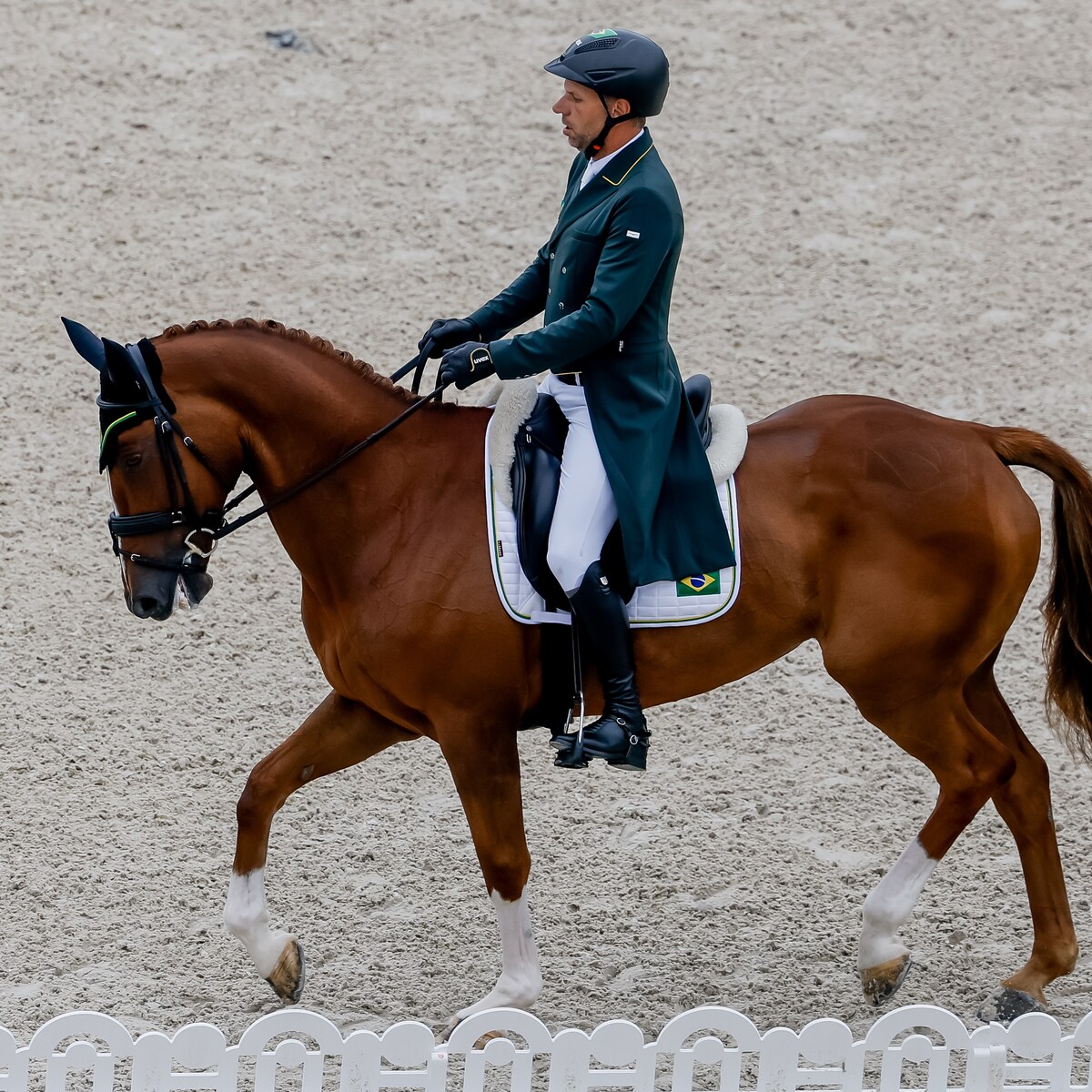 Waarom ruiters zich het hoofd breken over de gebogen nek van paarden | De  Morgen