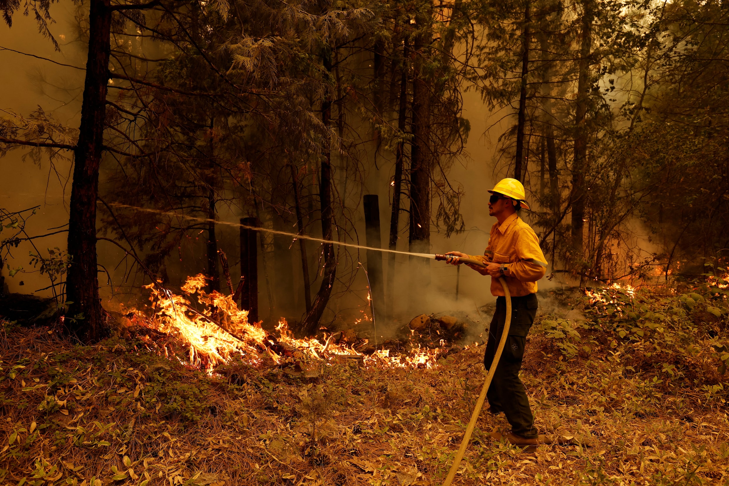 Bosbrand in Californië: 4.000 mensen moeten huis ontvluchten | De Morgen