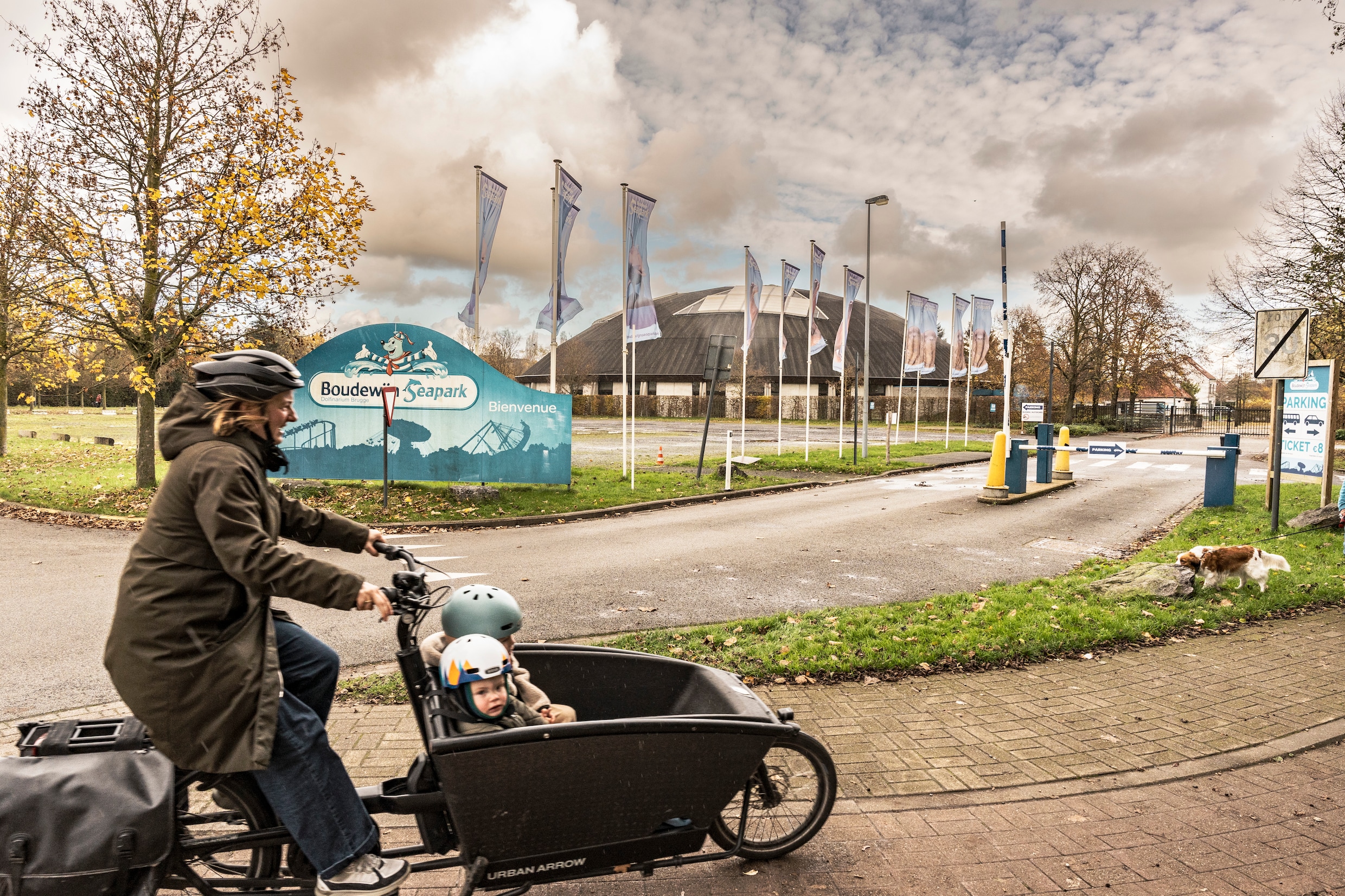 Boudewijn Seapark verdwijnt: ‘Dit bewijst dat het Ben Weyts om zichzelf ...