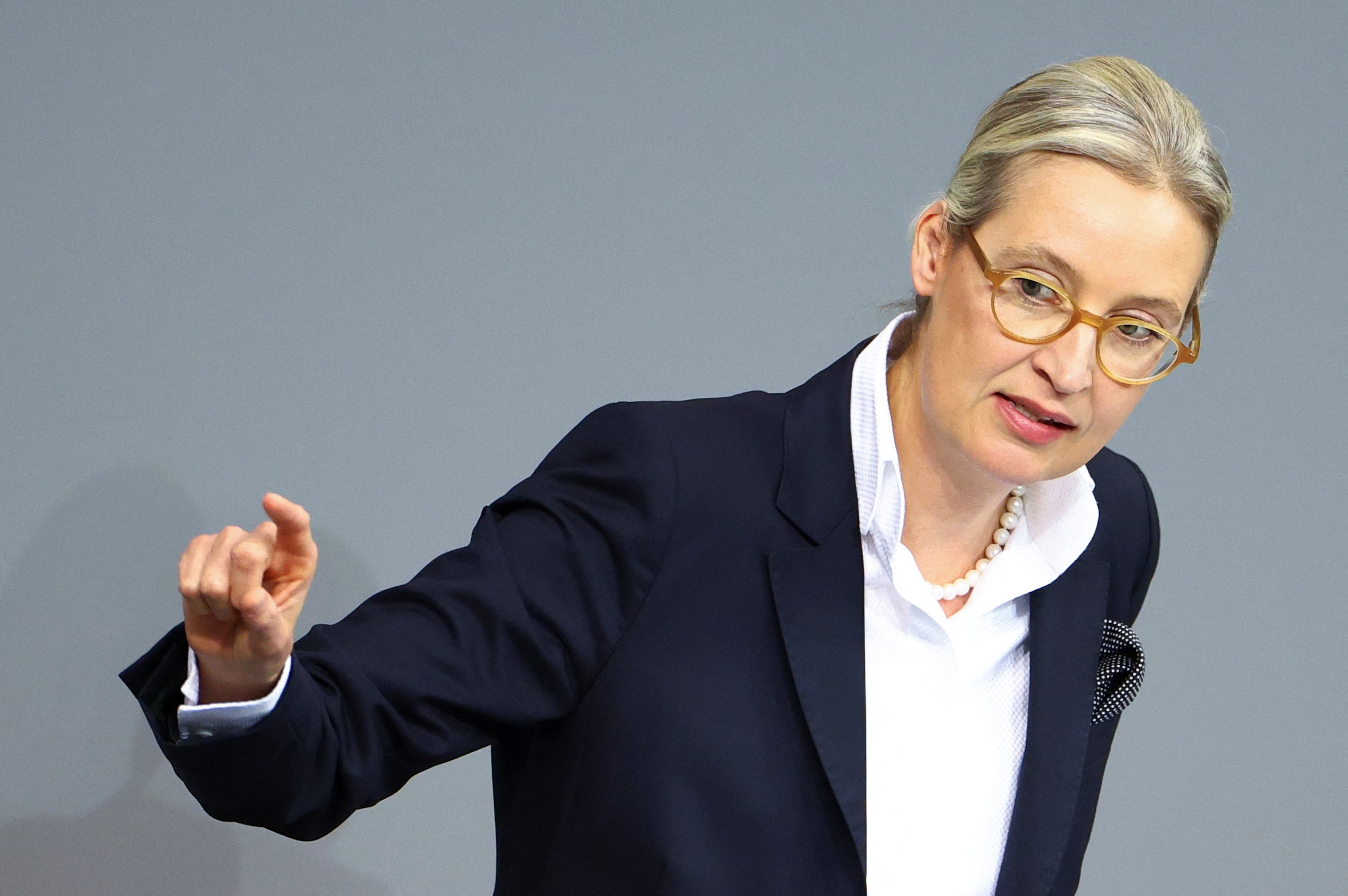 Musk interviewt rechts-radicale AfD-leider Alice Weidel op X: Europa kijkt met argusogen toe | De Morgen