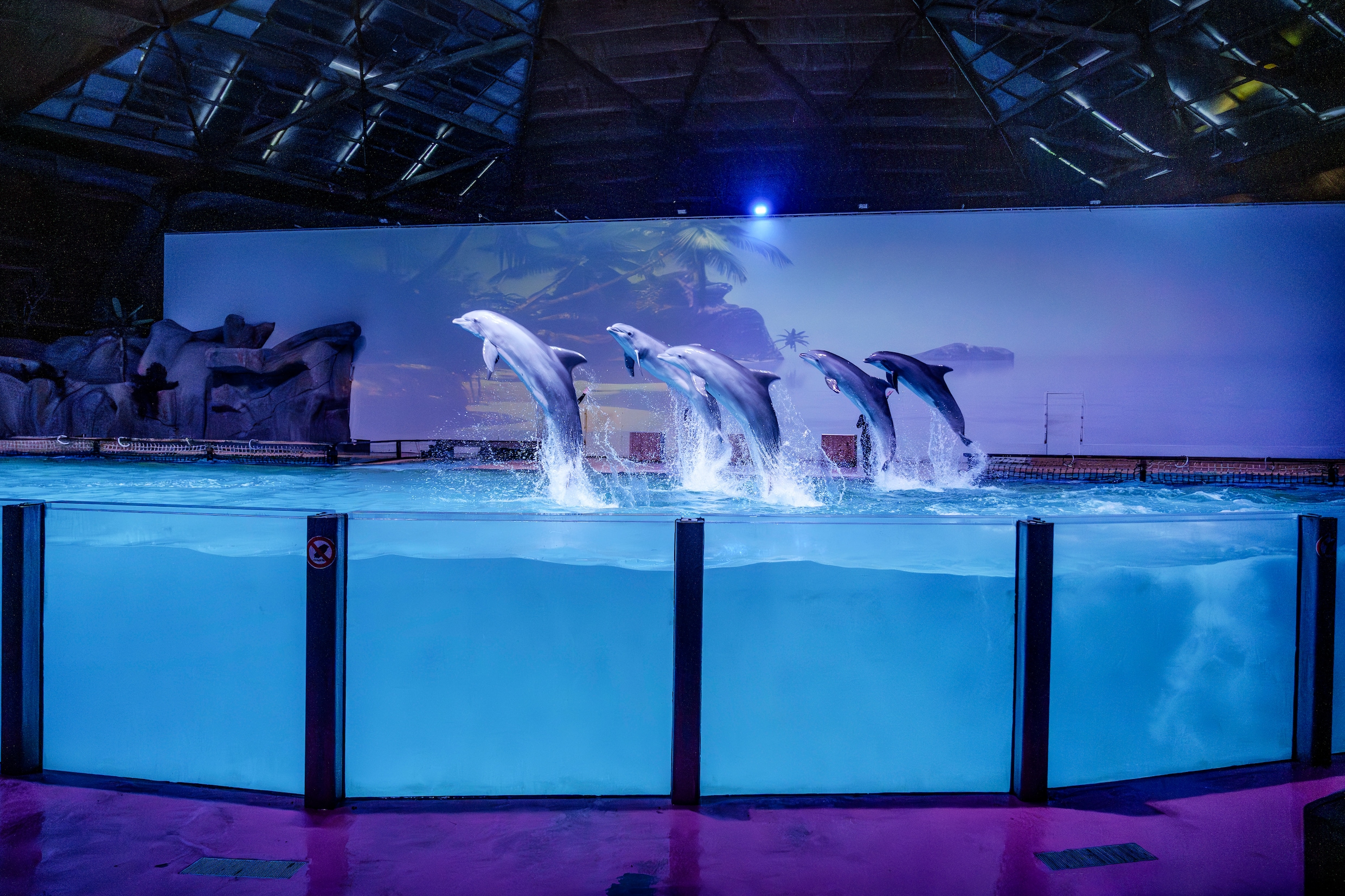 moet-na-het-dolfinarium-ook-de-dierentuin-dicht-de-zoo-van-de