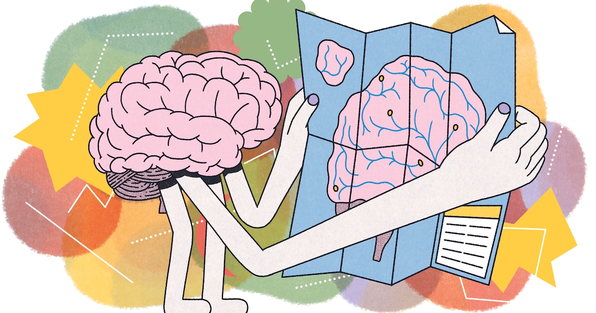 ‘Je brein is net als een spier. Je moet het trainen’: orthopedagoog Peter Vermeulen over leren leven