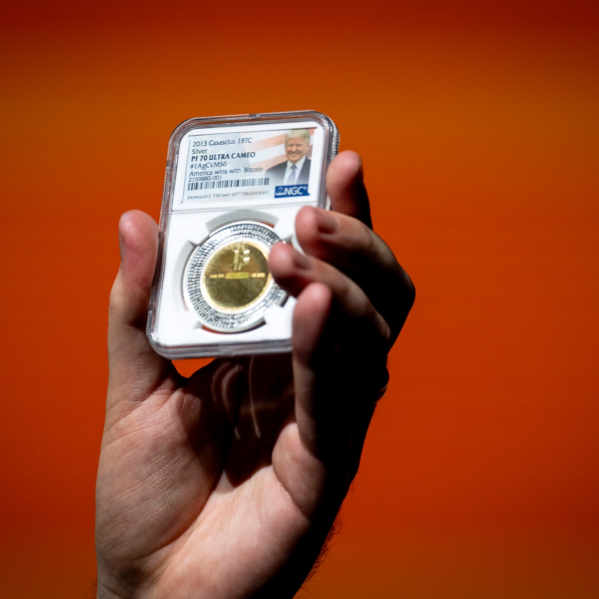 Koers bitcoin stijgt voor het eerst naar ruim 120.000 dollar | De Morgen