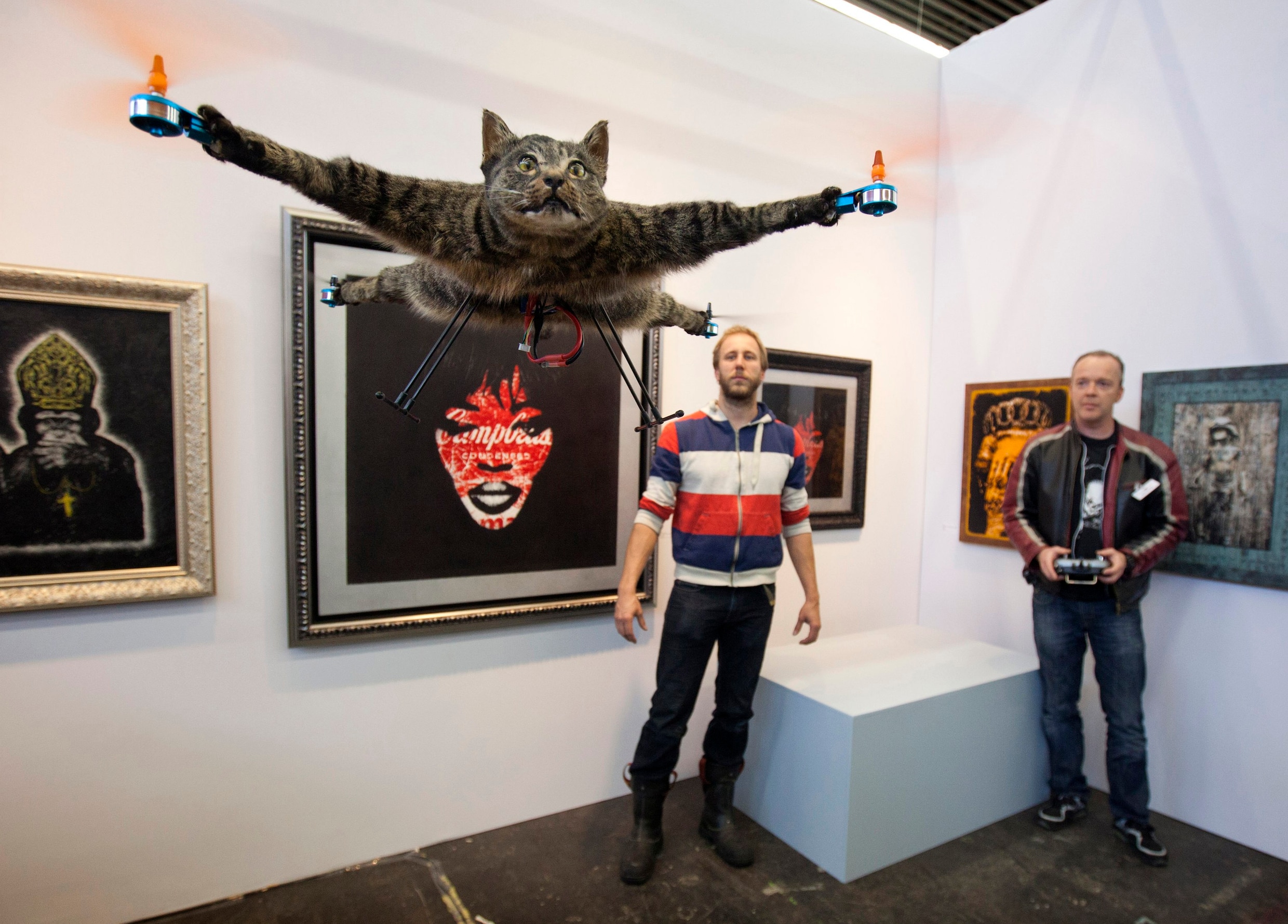 Nederlander maakt van dode kat vliegende helikopter | De Morgen