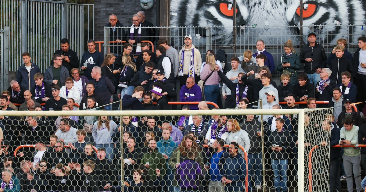 Hoornaars vallen supporters aan tijdens wedstrijd Beerschot: vijftien mensen gestoken, vijf naar zie