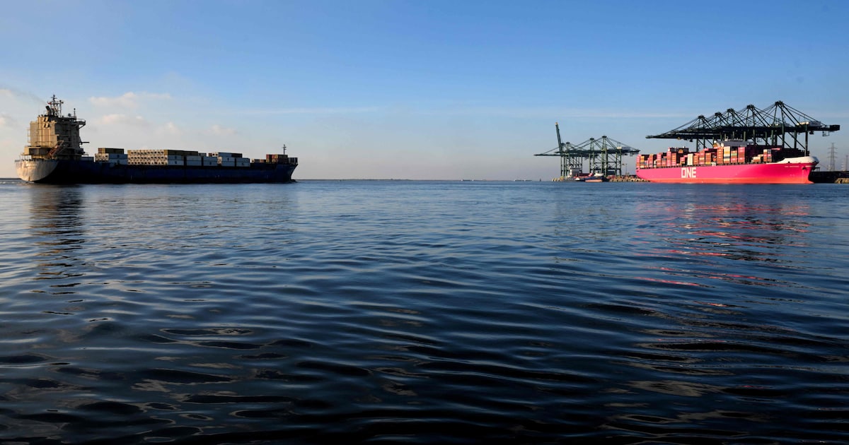 Live - Driedaagse staking. Scheepvaart in havens van Gent, Vlissingen en Terneuzen stilgevallen door