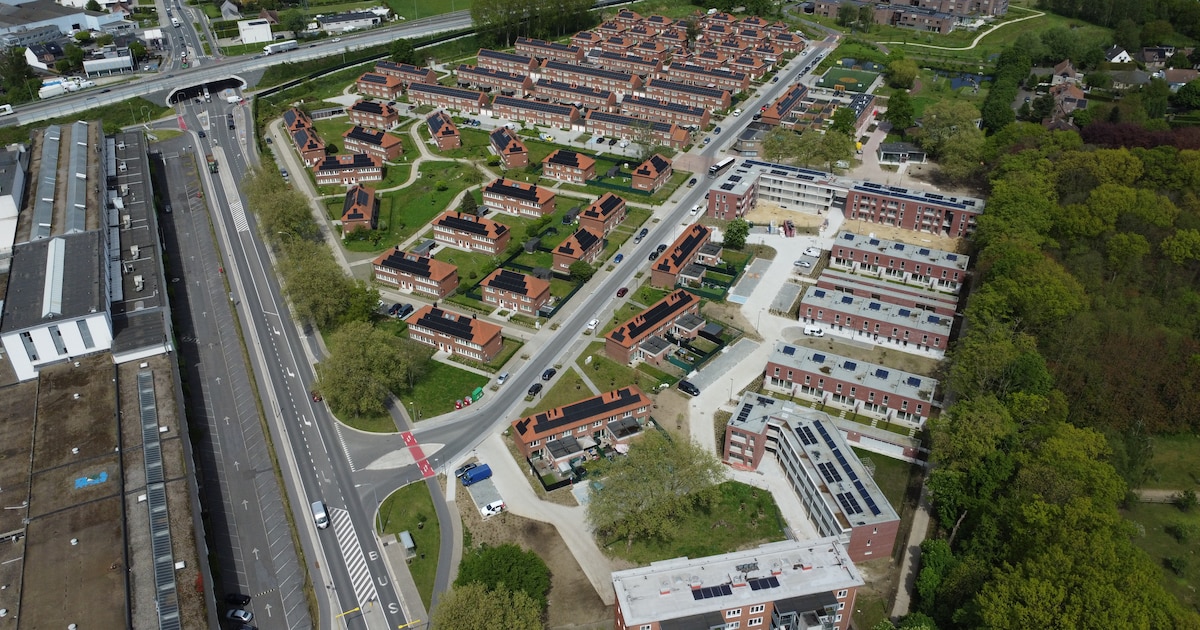 Zonnepanelen op elk dak: hoe sociale wijk in Mechelen Europese klimaatawards opstrijkt
