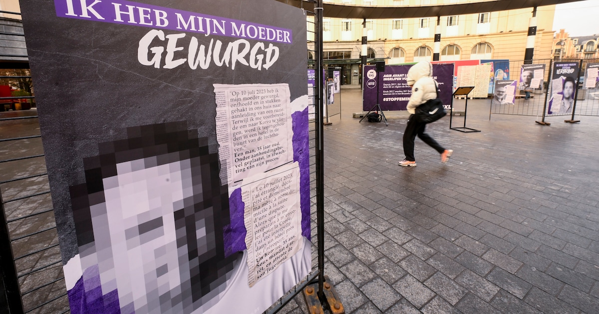 Geweld op vrouwen: een veelkoppig monster met een hoge maatschappelijke prijs