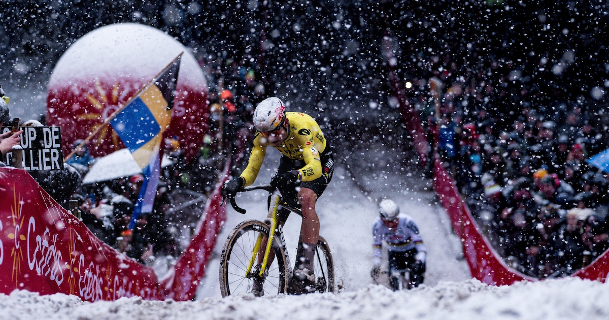 Wout van Aert loopt na val in Mol kleine breuk in enkel op, veldritseizoen afgelopen: ‘Heel ontgooch
