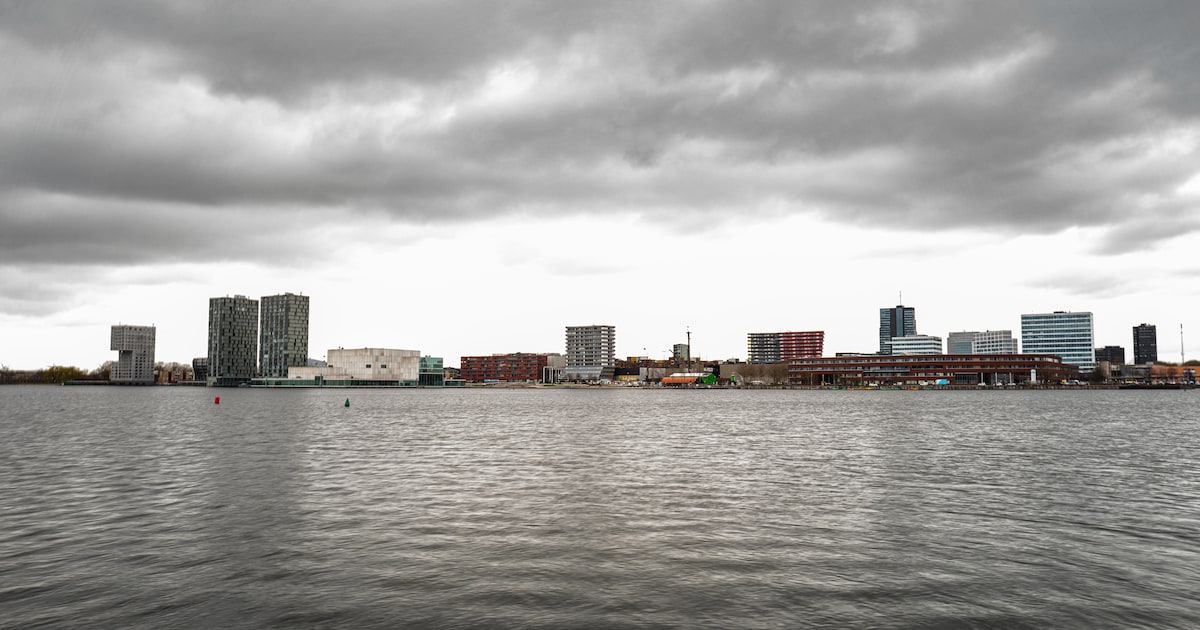 Polderkoorts in Nederland: experts schieten plannen voor nieuwe stad op het Markermeer af