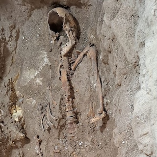 Nederlandse archeoloog opgepakt omdat hij mogelijke resten van musketier d’Artagnan weigerde terug te geven