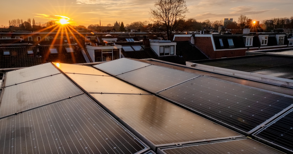 Record door te veel zonne-energie: ‘Burgers zouden hun verbruik best verleggen naar zonnige weekend-