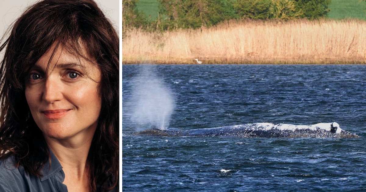 Sluiten we ons aan bij de machines of bij de dieren? En aan wie geven we voorrang: de mens of de mac