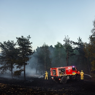 ‘Ook in België moeten we vuurwijs worden’: het risico op natuurbranden wordt steeds groter