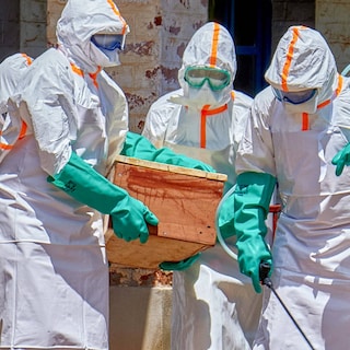 Dodelijke ebolavariant in Oost-Congo rukt op: waarom dit virus zich sneller verspreidt dan ooit