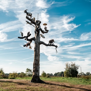 Kunst langs de Maas, want te weinig kunst in Limburgse musea
