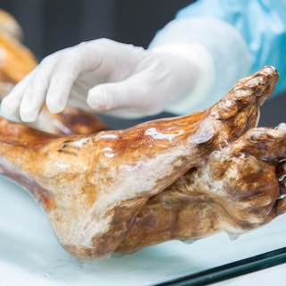 Oeroude gist uit het lichaam van ijsmummie Ötzi maakt 5.300 jaar later zuurdesembrood