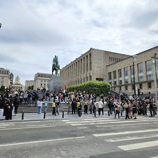 Opnieuw protest in Brussel tegen vermeend politiegeweld en b