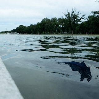 Renovatie van Reflecting Pool ter waarde van 14,2 miljoen dollar loopt verder mis: na algen nu ook loskomende verfstukken in het bassin
