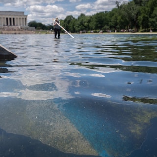 Live - Voormalig olympisch kanoër aangeklaagd voor beschadiging Reflecting Pool: man riskeert tien jaar cel