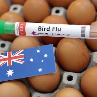 Eerste geval ooit van H5-vogelgriep vastgesteld in Australië