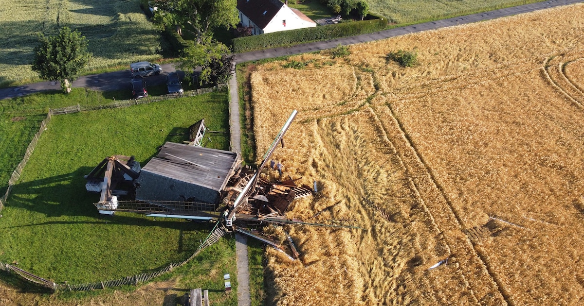 Krachtige valwind duwt historische Huisekoutermolen omver: ‘Simpelweg op zijn zwakste punt gekraakt’