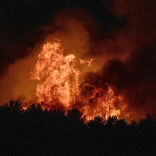 Natuurbrand in Fréjus in Frankrijk: al 30 hectare in vlammen opgegaan, woonwijken en campings geëvacueerd